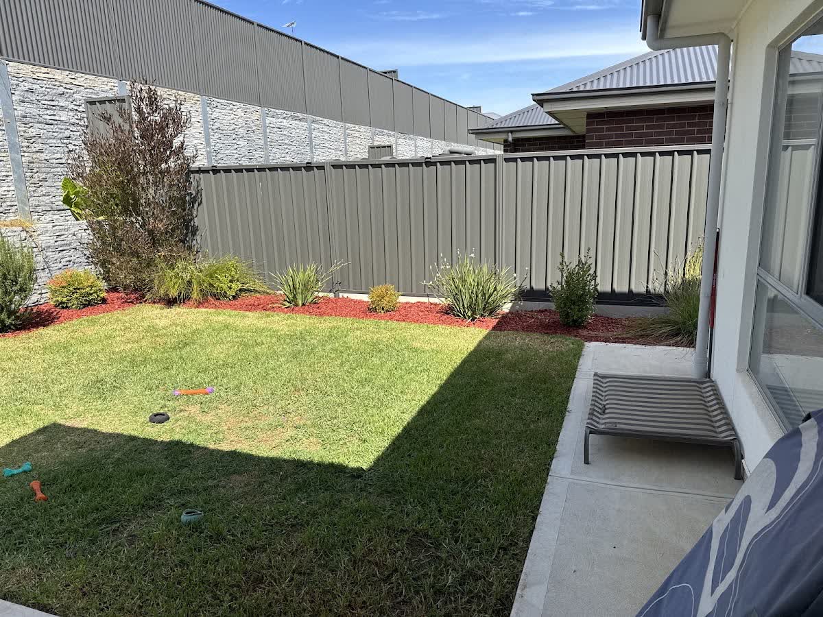 A freshly mowed backyard lawn with a curved garden bed mulched and planted along the fence