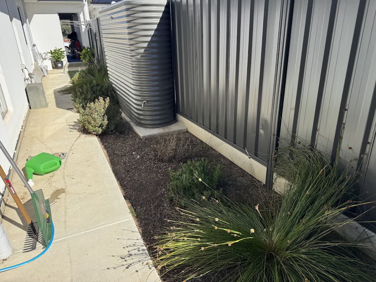 A side-yard garden bed freshly mulched beside the water tank and paved path
